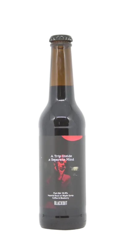 Port BA - A Trip Inside A Separate Mind