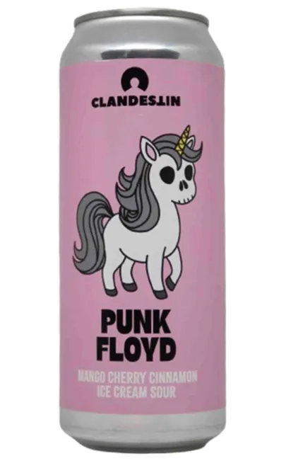 PUNK FLOYD