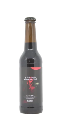 Port BA - A Trip Inside A Separate Mind